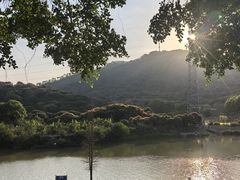 -风云岭森林公园