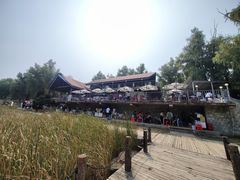 -青龙湖公园