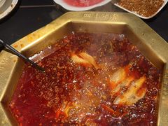 -蜀九香火锅(彩虹店)