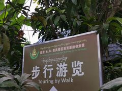 -西双版纳傣族园
