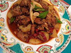 -巴依老爷新疆美食(望京小街店)