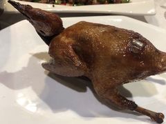 -琬苑鸽庄·川粤融合菜(解放碑总店)