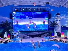 -海合安武汉极地海洋公园