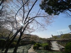-嘉定紫藤园