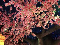 -荷塘秋月·本帮江浙菜(国权路店)