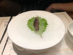 -觀芷隐轩