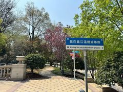 -青岛鑫江温德姆酒店