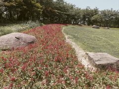 -径山花海