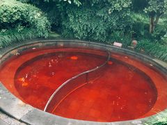 -杭州第一世界大酒店·云曼温泉