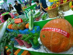 -沈阳国际会展中心管理有限公司