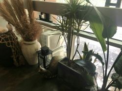 -苗方清颜·祛痘皮肤管理