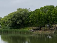-贡湖湾湿地公园