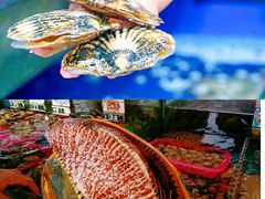 -三亚蜈支洲岛旅游区