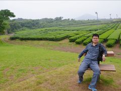 -雪绿茶博物馆