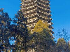 -博雅塔