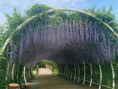 -同里国家湿地公园
