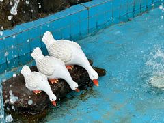 -快乐海鲜酒楼(滇池路店)