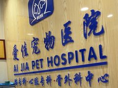 -爱佳宠物中心医院24H·CT·骨外科·猫专科(瑶海万达店)