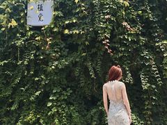 -植觉