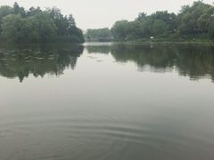 -新江湾城公园