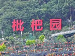 -枇杷园食为鲜火锅(南山店)