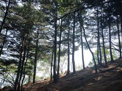 -北京鹫峰国家森林公园