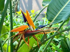 -国家植物园南园