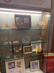 -金芙美月子中心(财富别墅店)