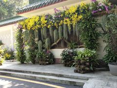 -深圳仙湖植物园-停车场
