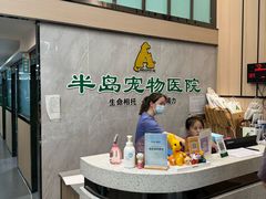 -半岛宠物医院24小时(科华中路店)