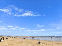 -日照海滨国家森林公园