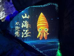 -梭布垭石林景区