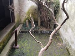 -西塘古镇-倪宅