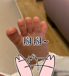 -生命加•Q考拉月子会所(玫瑰园店)