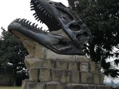 -自贡恐龙博物馆