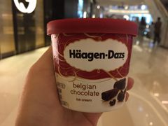 哈根达斯-全家便利店(襄阳南路店)