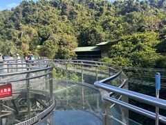 -海南槟榔谷黎苗文化旅游区