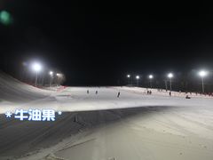 -多乐美地滑雪场