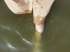 -碧海金沙