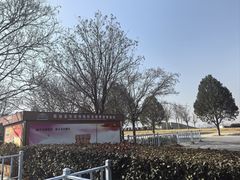 -秦始皇帝陵博物院-丽山园