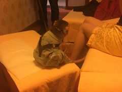 -盤古Spa泰式古法抓龙筋(鲁迅路店)