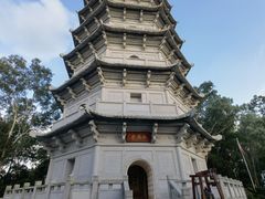 -深圳国际园林花卉博览园