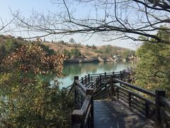 -白马涧龙池景区