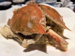 -高佳庄·舟山海鲜(海景旗舰店)