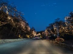 -东北亚滑雪场