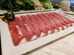 -汤城·料青山