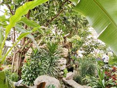 -南宫五洲植物乐园