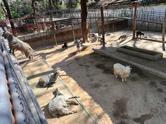 -深圳野生动物园