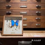 好逛-荒石展厅