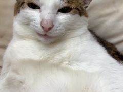 -人民广场-地下停车场